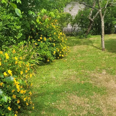 La Maison De Sophie *