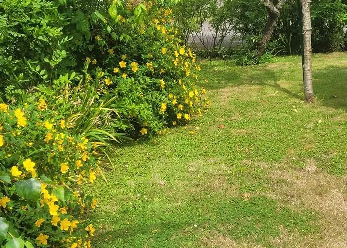 La Maison De Sophie *